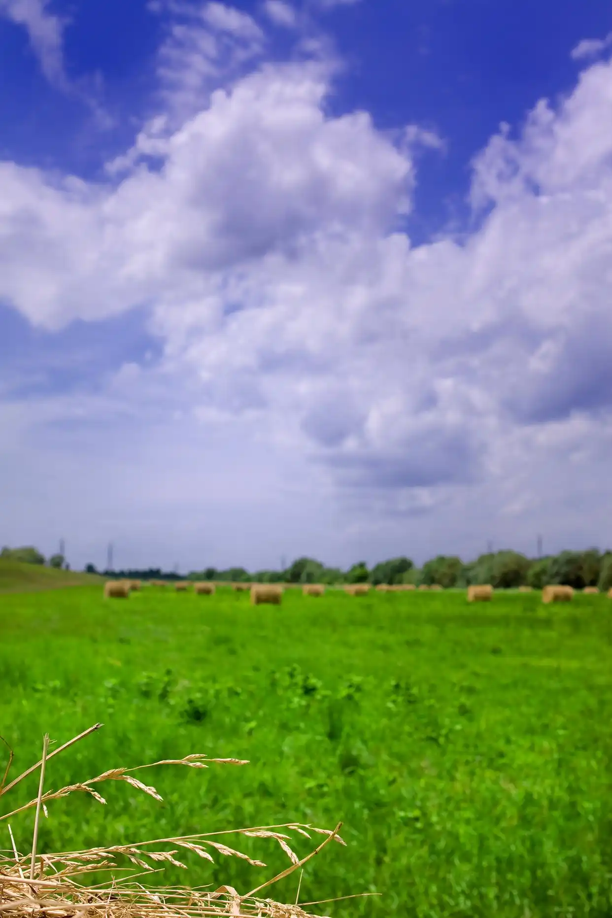 收不到短信验证码？这些人为疏忽你可能每天都在犯！