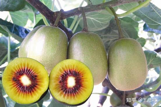 中国最惊艳的15座县城——湖南·凤凰（7）