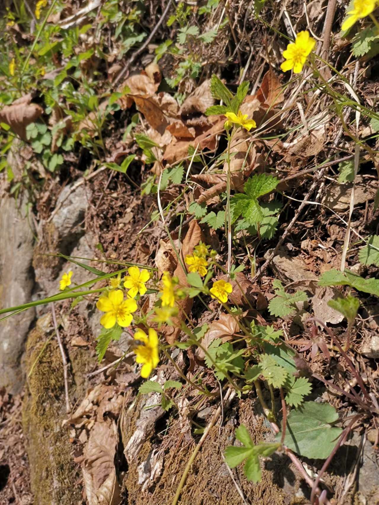 软文的距离感：你不是在写文章，是在和一个人说话