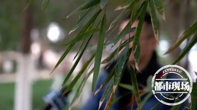 “3·15”特别报道·论文代写代发——高校教授找人代写论文？记者入职起底“一条龙”利益链！