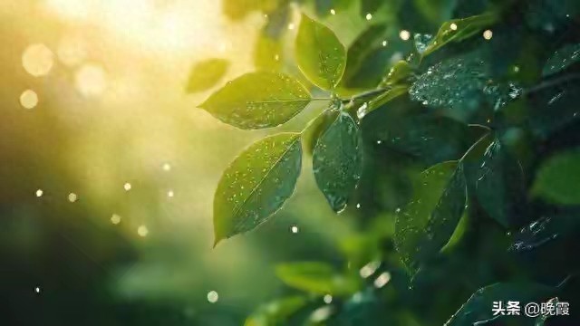 难怪手机总卡顿，问题在这！