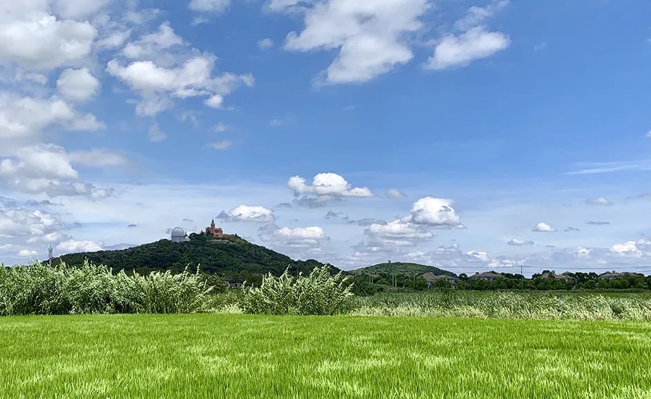 这些照片凭什么获中国新闻奖 | 评委有话说
