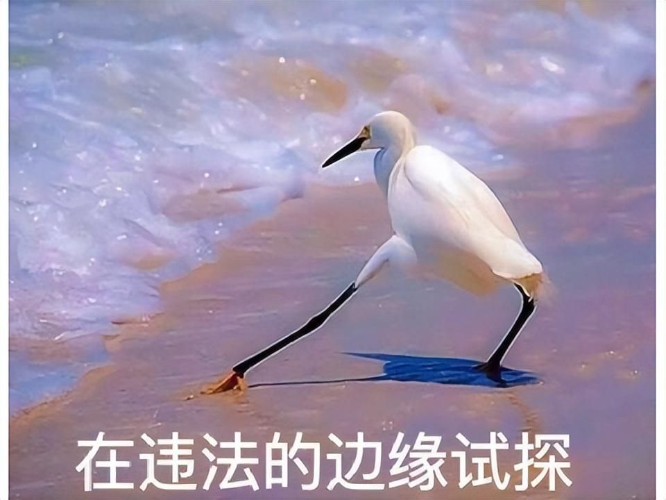 暴雪国服停运，魔兽私服路子却野起来了？不知火舞大战兽人士兵！
