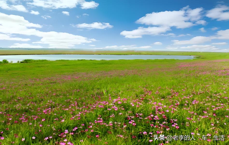 认识中国每一个县——第166站:湖北·荆州·监利市(县级市)