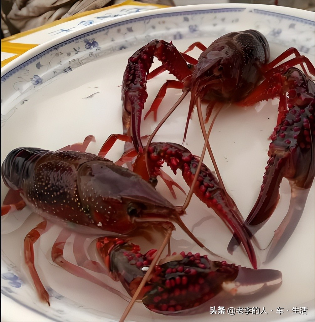 认识中国每一个县——第166站:湖北·荆州·监利市(县级市)
