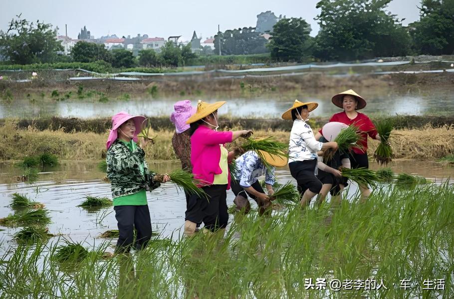 认识中国每一个县——第166站:湖北·荆州·监利市(县级市)