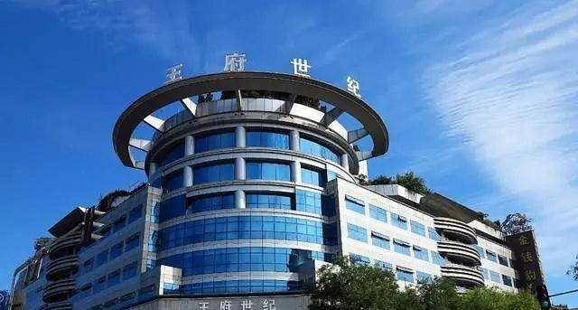 “晴格格”王艳现状，丈夫欠6900万消失，1亿的豪宅被法拍