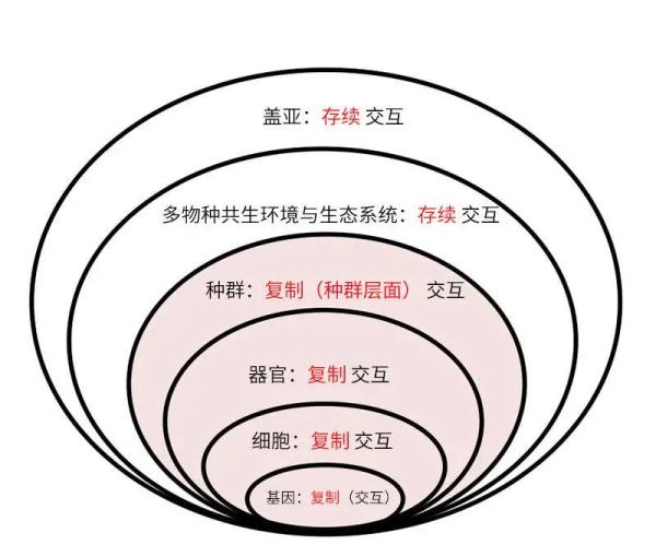 盖亚假说：地球是一个生命体吗？