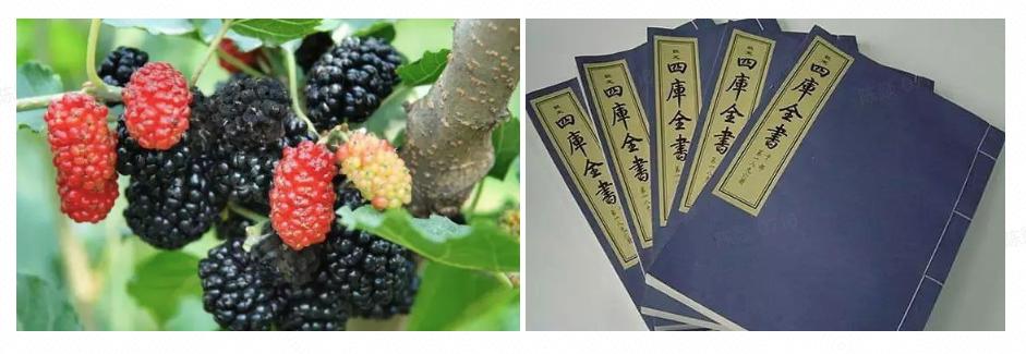 种草文如何避免标题党？这几种类型会被打压，案例解读帮你避坑