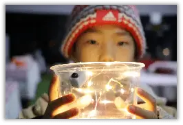 寒假礼物 | 中报小记者媒介素养冰雪营