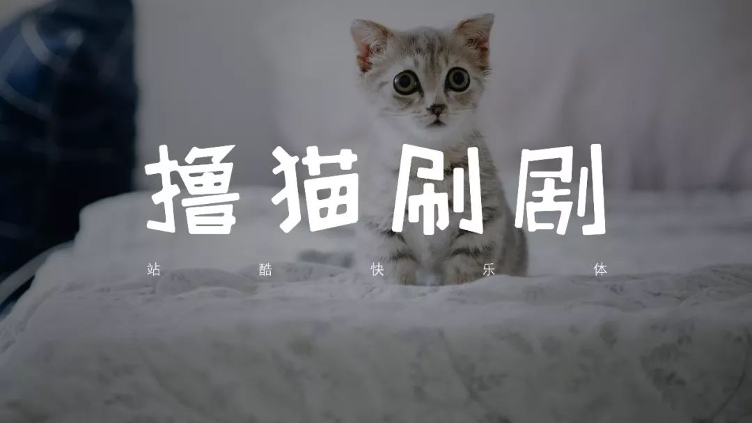 如何美美地给照片配上文字