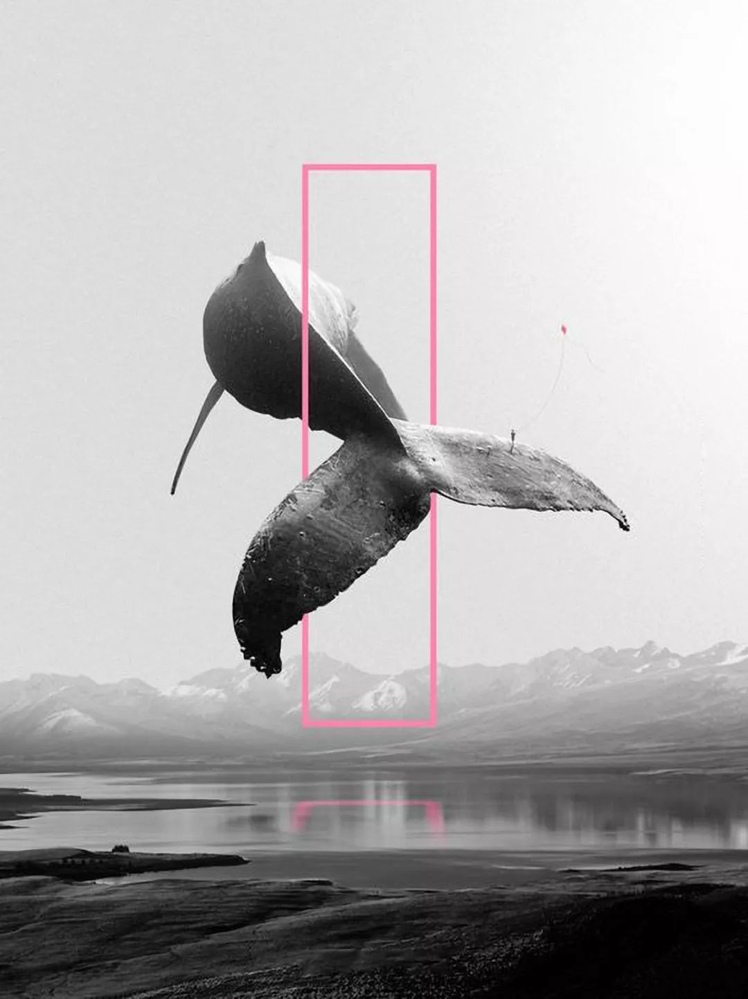 如何美美地给照片配上文字