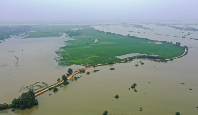 【现场直击】江西永修县：洪水正在消退，堤坝仍有垮塌风险，村民齐心保卫家园