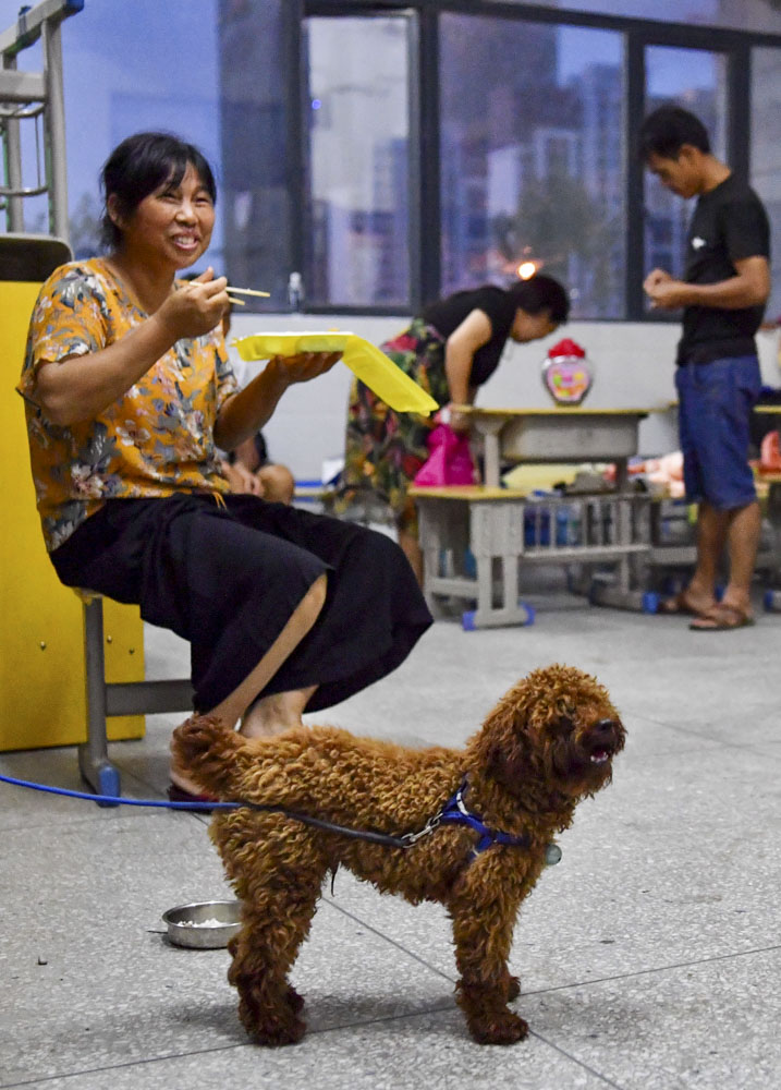 【现场直击】江西永修县：洪水正在消退，堤坝仍有垮塌风险，村民齐心保卫家园