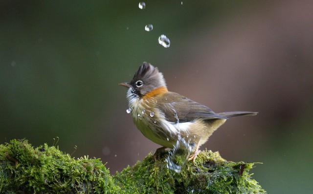 株洲寻踪：神农脉与动力魂