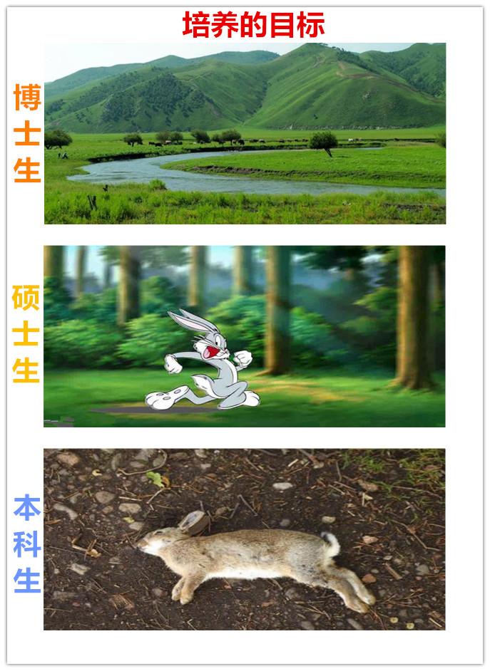 看这14张图,就能懂得博士、硕士和本科生的区别