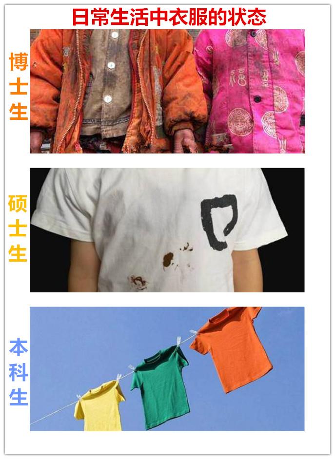 看这14张图,就能懂得博士、硕士和本科生的区别