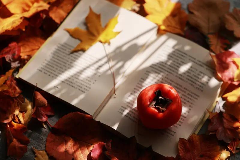 番茄小说:从治愈到爽文的阅读新选择