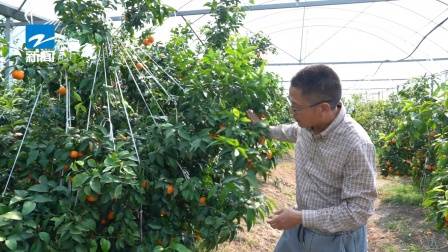 广东新焦点发布广东电视台播出——广州高新区投资控股有限公司