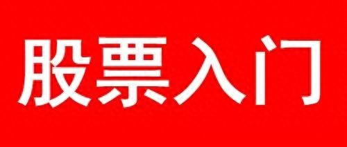 股票入门基础 ②:开户及第一次买入股票