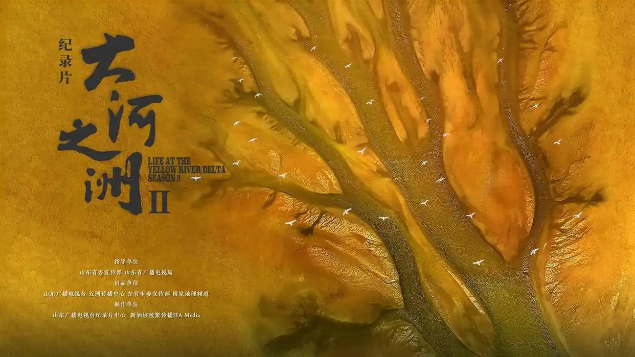 山东广播电视台社会责任报告(2025年度)