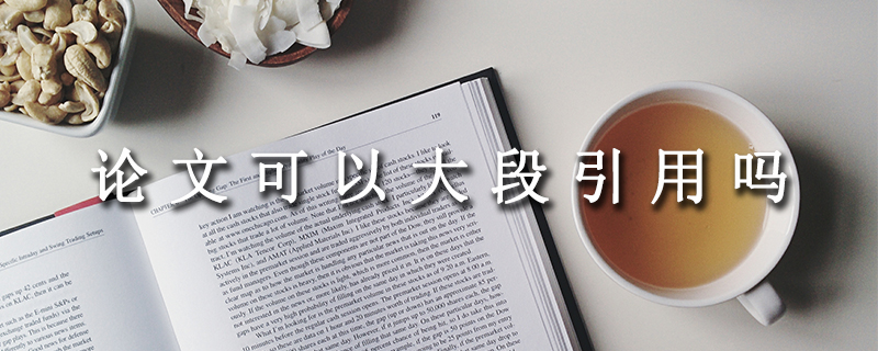 论文可以大段引用吗