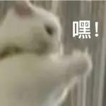 考前必知-23年下软考信息系统项目管理师(高级高项)