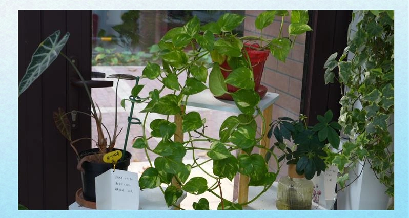 天津东丽湖的幸福河湖与多元产业新篇章