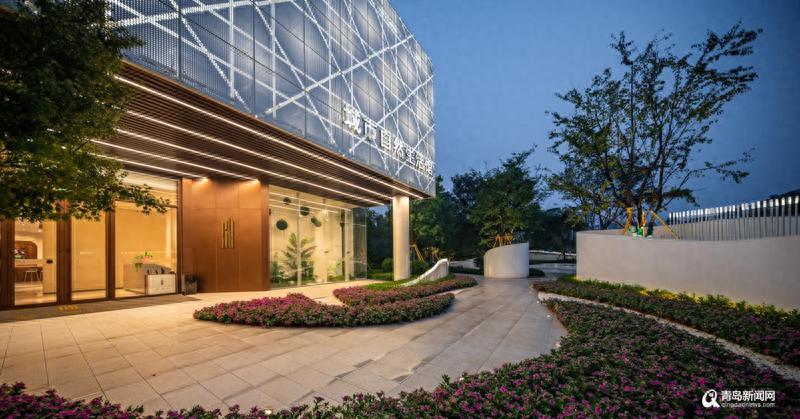 “擘画青岛 溢彩静澜”2023青岛国际艺术年展巡展启动