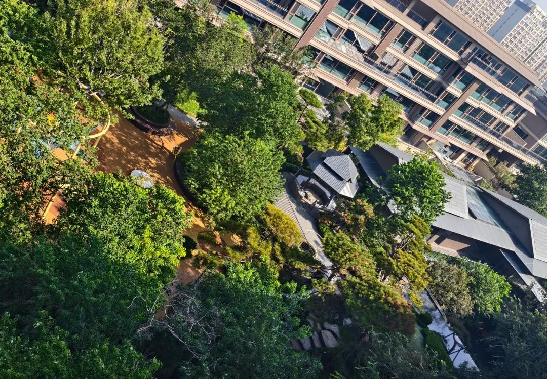 近期，青岛4万/平高端盘交付的刚需感，让人惊掉下巴