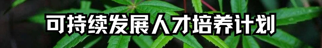 全球环境治理破局者，差一个你！绿会国际部青年人才培养计划招募