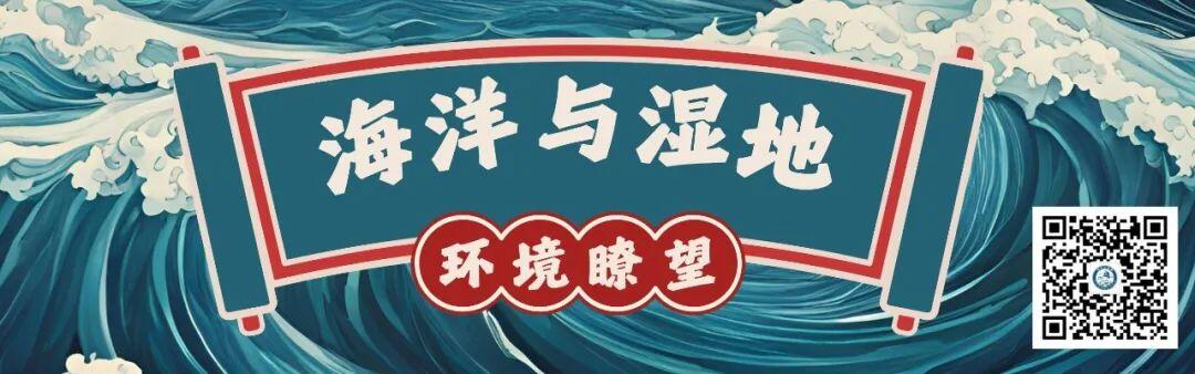全球环境治理破局者，差一个你！绿会国际部青年人才培养计划招募