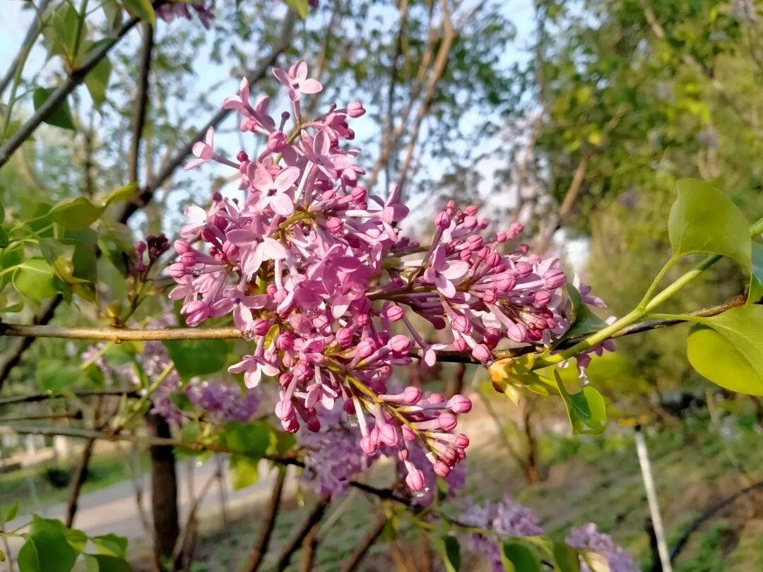 全球环境治理破局者，差一个你！绿会国际部青年人才培养计划招募