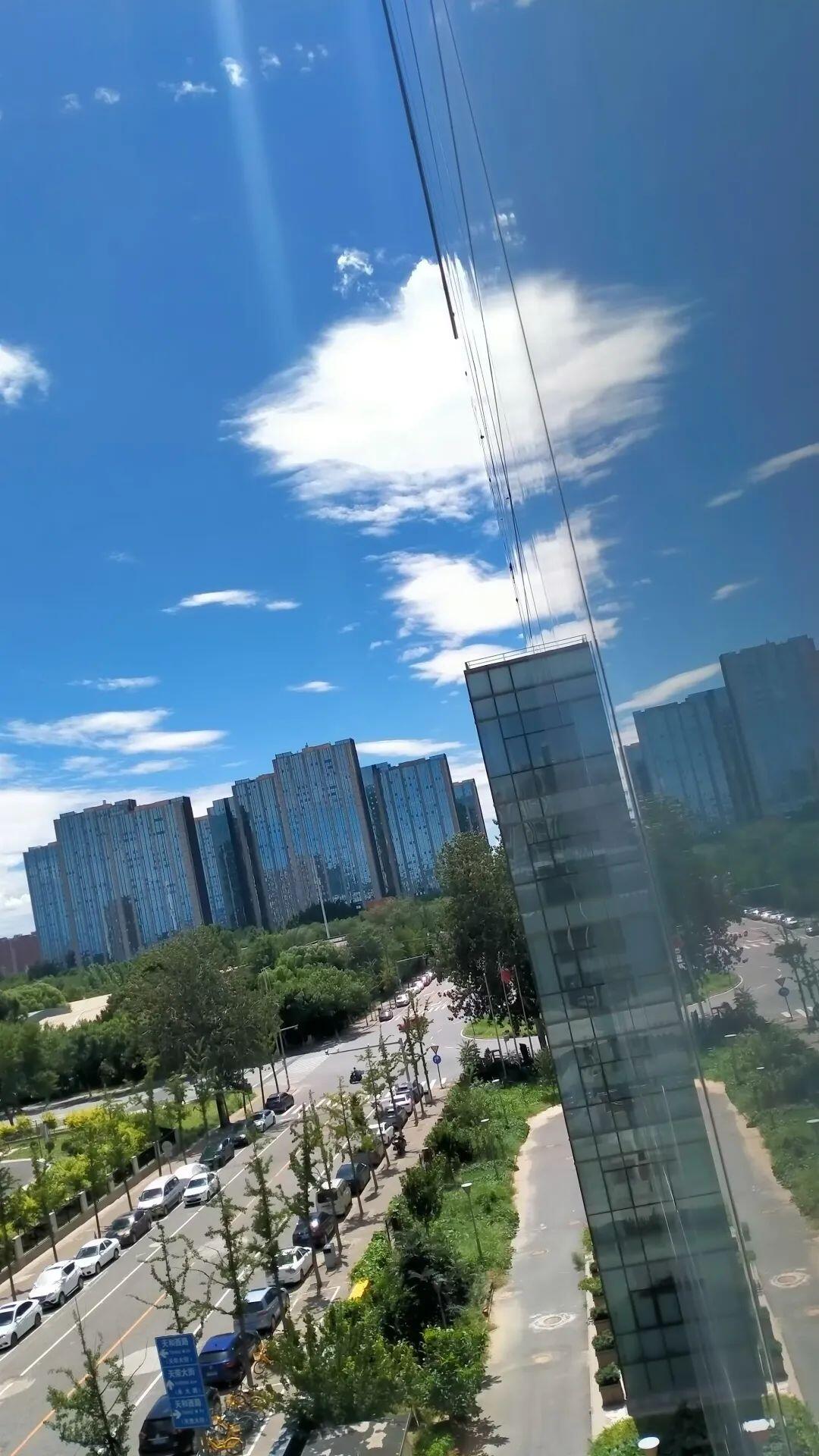 全球环境治理破局者，差一个你！绿会国际部青年人才培养计划招募