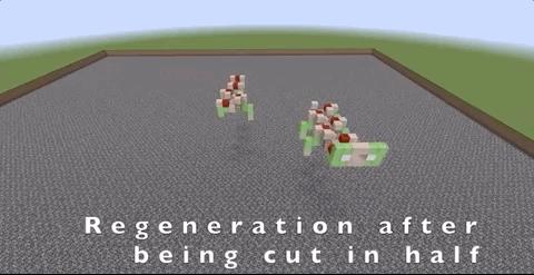 通过细胞自动机，AI在「我的世界」学会了盖房子