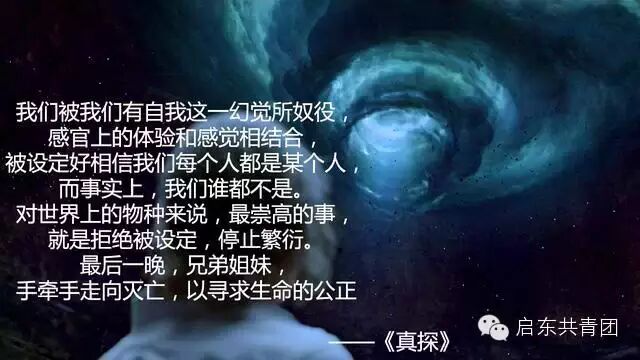 2014年度电影鉴选