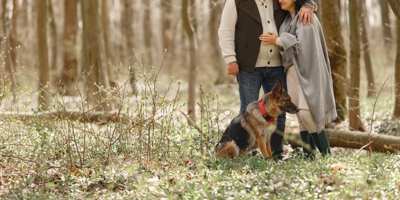 正确的投稿姿势