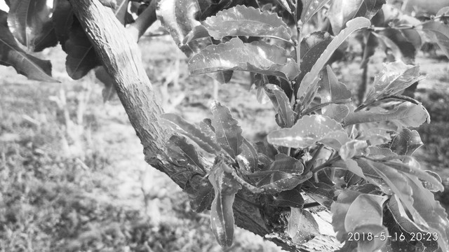 愤怒的消逝:当沉默成为时代的底色