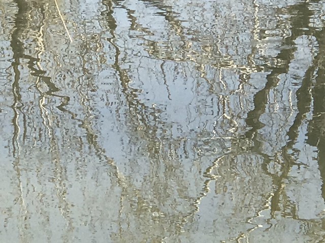 愤怒的消逝:当沉默成为时代的底色