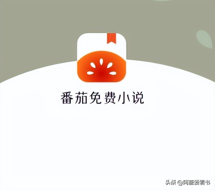 2025年最火8款小说APP推荐!让你告别书荒,沉浸式阅读体验!