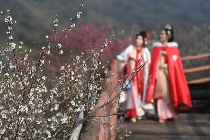 淄博、尔滨何以成顶流？网红城市有可能被复制吗？专访戴斌