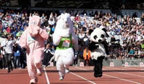 校运会新闻稿结尾 校运动会开幕式新闻稿