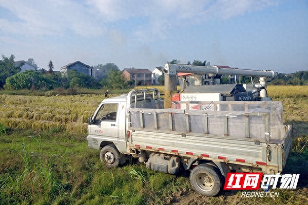 同世界·共北斗丨株洲：“北斗+”赋能 让现代农业拥有“高科技”