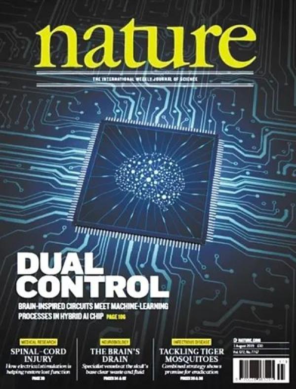 盘点2019十大国内科技新闻,这是中国创新路上的里程碑