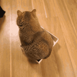 2月爆笑新闻盘点火热出炉！