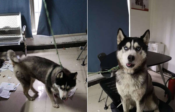 2月爆笑新闻盘点火热出炉！