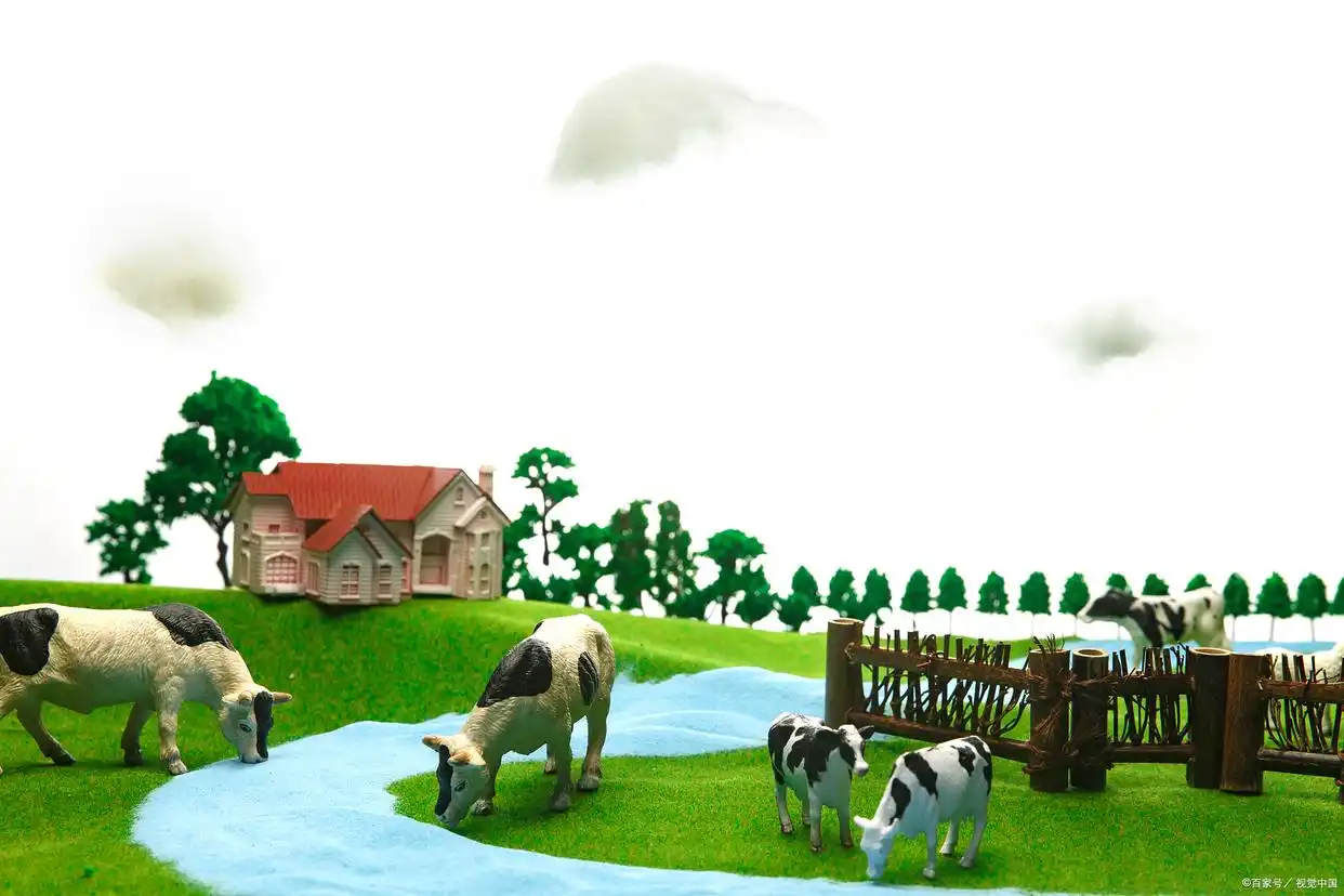 新石器时代——人类文明的萌芽与发展