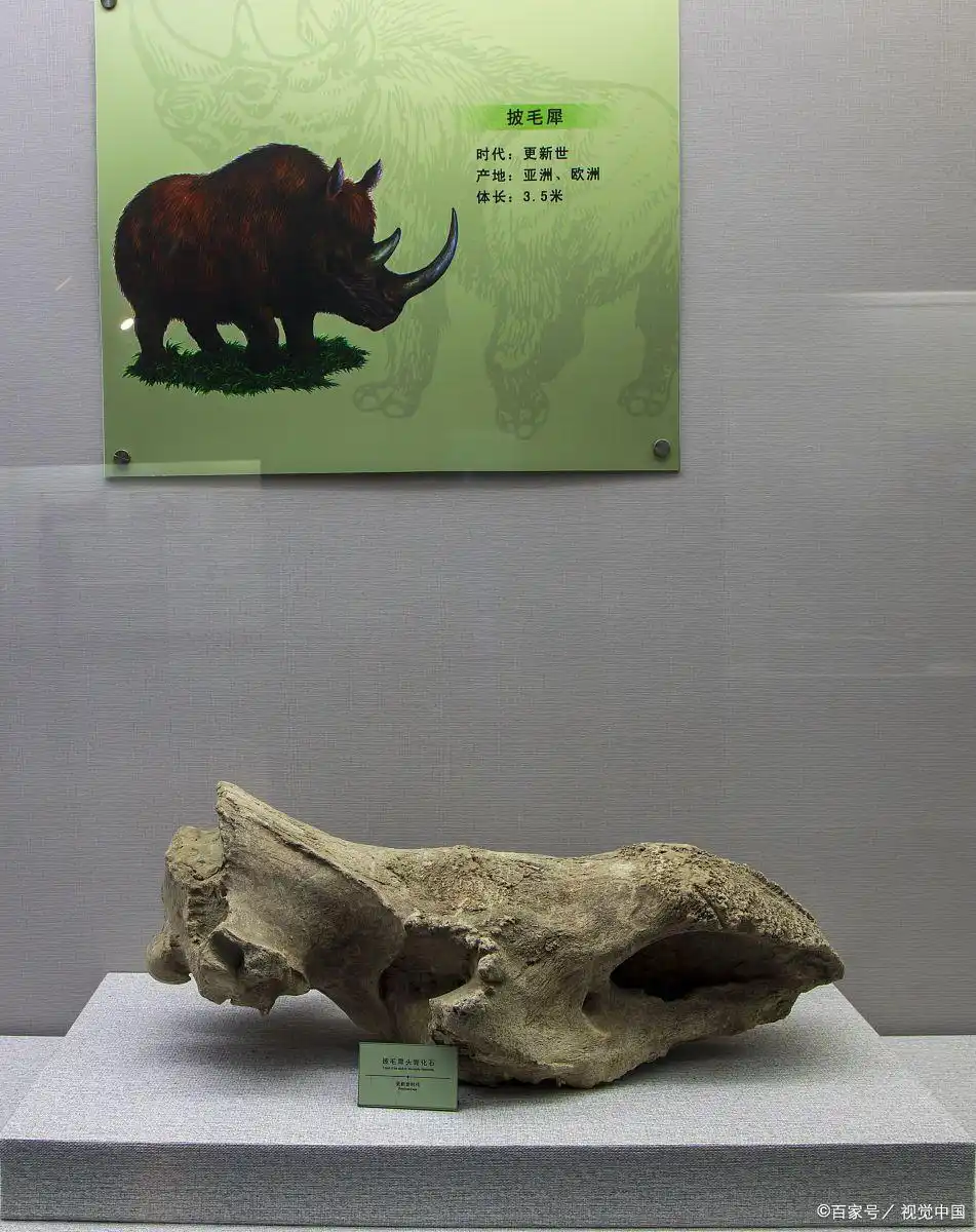 新石器时代——人类文明的萌芽与发展