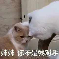 写文章能赚钱吗？写好了文章想投稿应该投哪里？