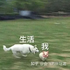 写文章能赚钱吗？写好了文章想投稿应该投哪里？